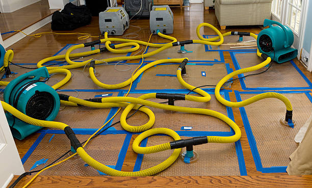 Professional Water Damage Repair technician working in North Wales, PA